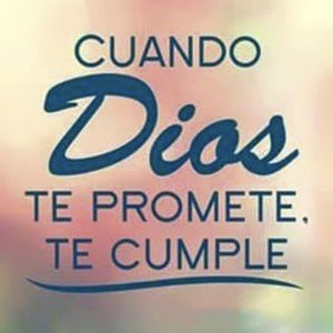 Meet your Posher, Elmina